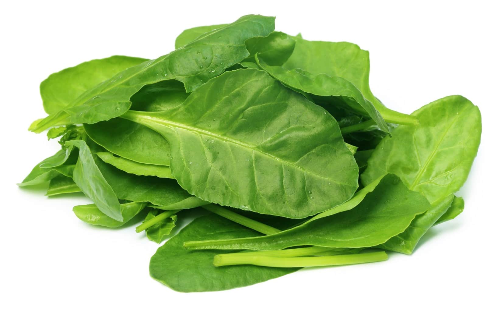 Image result for IMAGES OF BABY SPINACH