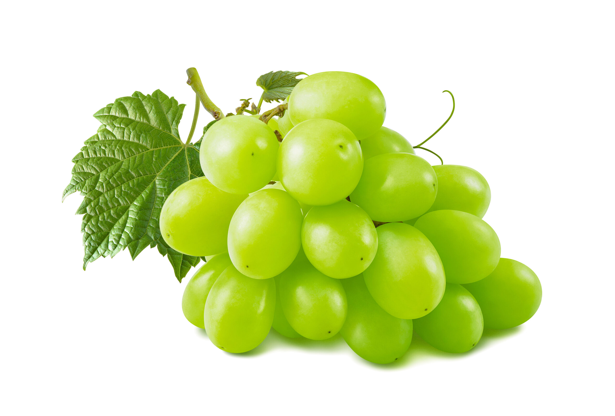 Organic Grapes, Green (2 lbs) (3.99/lb) – His Harvest @ Amazing